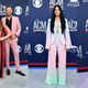 Illustration for article titled All the Yeehaw Looks at the 2019 Academy of Country Music Awards